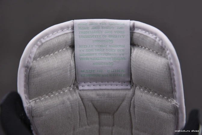 Cheap Jordan High Igloo Retro 861428-100 1 0810